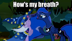 Size: 710x400 | Tagged: safe, edit, edited screencap, screencap, princess luna, twilight sparkle, alicorn, pony, unicorn, g4, luna eclipsed, clothes, cosplay, costume, female, image macro, mare, meme, nightmare night costume, star swirl the bearded costume, text, twilight the bearded, unicorn twilight