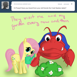Size: 1280x1280 | Tagged: safe, artist:squiby-327, posey, crabnasty, earth pony, pony, ask posey, g1, ask, bush, cute, female, flower, green background, looking at you, mare, mouth hold, poseybetes, simple background, smiling, tumblr, watering can