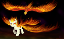 Size: 1950x1200 | Tagged: safe, artist:halflingpony, oc, oc only, phoenix, pony