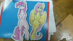 Size: 2560x1440 | Tagged: safe, artist:sunshineapple, fluttershy, pinkie pie, g4, belly, bookmark, traditional art