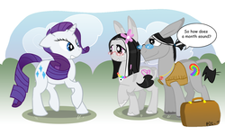 Size: 900x540 | Tagged: safe, artist:ellisarts, rarity, oc, oc:flower child, oc:tye dye, donkey, pony, unicorn, g4, 2011, female, flower, glasses, hilarious in hindsight, hippie, rarity's parents, suitcase