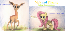 Size: 2404x1160 | Tagged: safe, artist:thefriendlyelephant, edit, fluttershy, oc, oc:nuk, antelope, gerenuk, pegasus, pony, g4, :o, animal in mlp form, chart, cute, grin, height difference, looking at you, looking back, raised hoof, size comparison, smiling, traditional art