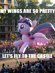 Size: 451x600 | Tagged: safe, twilight sparkle, alicorn, pony, g4, balloon, chile, female, image macro, irl, let's fly to the castle, mare, meme, my wings are so pretty, parade, parade balloon, photo, twilight sparkle (alicorn)