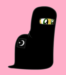 Size: 766x870 | Tagged: safe, pony, islam, niqab, solo