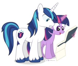 Size: 950x800 | Tagged: safe, artist:dm29, shining armor, twilight sparkle, alicorn, pony, g4, book, centerfold, duo, female, freaked out, magic, mare, simple background, telekinesis, transparent background, twilight sparkle (alicorn)
