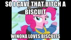 Size: 500x281 | Tagged: safe, edit, edited screencap, screencap, pinkie pie, earth pony, pony, g4, testing testing 1-2-3, female, image macro, mare, meme, not vulgar, rapper pie