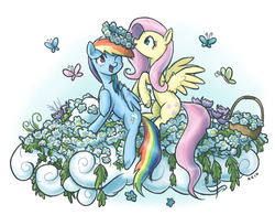 Size: 1280x997 | Tagged: safe, artist:king-kakapo, fluttershy, rainbow dash, butterfly, pegasus, pony, g4, basket, blushing, cloud, duo, ear fluff, floral head wreath, flower, flower in mouth, mouth hold, on a cloud, unshorn fetlocks