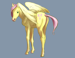 Size: 936x720 | Tagged: artist needed, safe, part of a set, fluttershy, horse, g4, female, hoers, realistic, solo