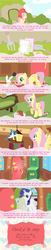 Size: 621x3048 | Tagged: safe, artist:zoo977, fluttershy, rarity, g4, comic