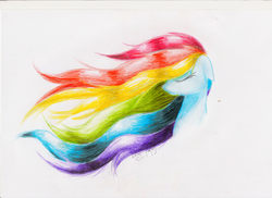 Size: 1024x745 | Tagged: safe, artist:thatonegib, rainbow dash, g4, female, portrait, solo, traditional art