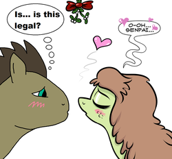 Size: 1024x950 | Tagged: safe, artist:catfood-mcfly, oc, oc only, oc:checked privilege, oc:theotakux, ask fury belle, blushing, female, heart, imminent kissing, male, mistletoe, shipping, straight