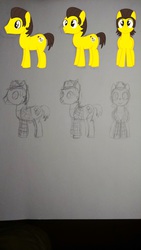 Size: 2432x4320 | Tagged: safe, artist:adkead80, oc, oc only, oc:adam, oc:adkead80, clothes, color, feather, hat, lineart, pencil drawing, ponified, traditional art, wip