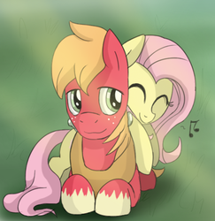 Size: 508x522 | Tagged: safe, artist:epicsquirrelgirl, big macintosh, fluttershy, earth pony, pony, g4, male, ship:fluttermac, shipping, stallion, straight