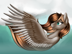 Size: 3200x2400 | Tagged: safe, artist:iraincloud, oc, oc only, oc:marble mocha, pegasus, pony, flying, high res, solo