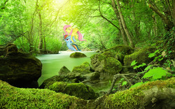 Size: 1920x1200 | Tagged: safe, artist:scrimpeh, artist:thepwnyisaspy, fluttershy, rainbow dash, g4, carrying, creek, flying, irl, moss, photo, ponies in real life, rock, tree, unamused, vector
