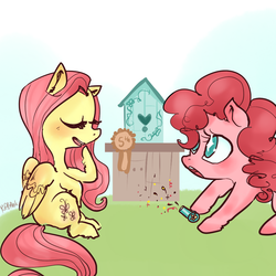 Size: 1000x1000 | Tagged: safe, artist:puffpink, fluttershy, pinkie pie, g4, hilarious in hindsight, newbie artist training grounds, party cannon, pocket party cannon