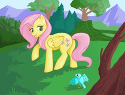 Size: 1021x782 | Tagged: safe, artist:sorcerushorserus, fluttershy, bird, g4, female, solo