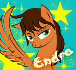 Size: 500x461 | Tagged: safe, artist:cloclo2388, oc, oc only, oc:endra, pony, badge, female, mare