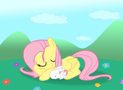 Size: 808x593 | Tagged: safe, artist:lifesharbinger, angel bunny, fluttershy, g4, cloud, cloudy, sleeping