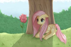 Size: 3000x2000 | Tagged: safe, artist:dashaalison, fluttershy, g4, female, flower, high res, solo