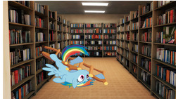 Size: 1000x563 | Tagged: safe, artist:northern haste, rainbow dash, g4, bookstore, irl, ladder, photo, ponies in real life