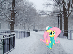 Size: 1632x1224 | Tagged: safe, artist:mick-o-maikeru, artist:northern haste, fluttershy, g4, clothes, irl, park, photo, ponies in real life, scarf, snow, snowfall, solo