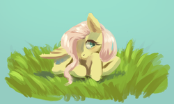 Size: 969x580 | Tagged: safe, artist:verrmont, fluttershy, pegasus, pony, g4, female, shy, solo