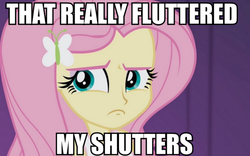 Size: 802x500 | Tagged: safe, fluttershy, equestria girls, g4, image macro, jimmies, meme