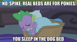 Size: 909x500 | Tagged: safe, spike, g4, bed, eyes closed, image macro, male, meme, sleeping, solo, spikeabuse