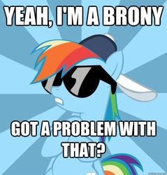 Size: 625x654 | Tagged: safe, rainbow dash, g4, brony, brony pride, hat, image macro, meme, sunglasses