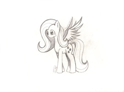 Size: 3392x2532 | Tagged: safe, artist:rarity107, fluttershy, g4, female, grayscale, high res, monochrome, sketch, solo, traditional art