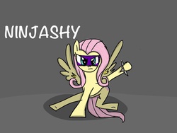 Size: 1024x768 | Tagged: safe, artist:stormytheloner, fluttershy, pony, g4, female, ninja, solo