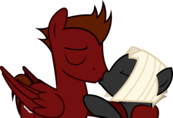 Size: 1392x947 | Tagged: safe, artist:outlawedtofu, edit, oc, oc only, oc:astral, oc:mach, pegasus, pony, fallout equestria, fallout equestria: outlaw, duo, eyes closed, female, hug, incest, kiss on the lips, kissing, male, mastral, shipping, simple background, smiling, straight, transparent background, vector