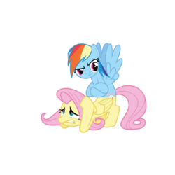Size: 2000x2000 | Tagged: safe, fluttershy, rainbow dash, g4, conjoined, fusion, high res, we have become one