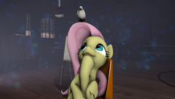 Size: 1191x670 | Tagged: safe, fluttershy, bird, g4, 3d, archimedes, crossover, source filmmaker, team fortress 2