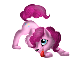 Size: 1024x874 | Tagged: safe, artist:lupiarts, part of a set, pinkie pie, wolf, g4, female, simple background, solo, species swap, transparent background, wolfified