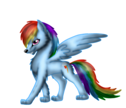 Size: 1024x874 | Tagged: safe, artist:lupiarts, part of a set, rainbow dash, wolf, g4, female, simple background, solo, species swap, transparent background, wolf dash, wolfified