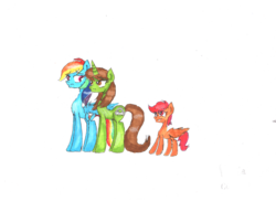 Size: 7020x5100 | Tagged: safe, artist:rozzy3, rainbow dash, scootaloo, oc, g4, absurd resolution