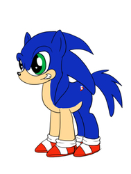 Size: 777x1028 | Tagged: safe, artist:whitetail-music, pony, clothes, male, ponified, shoes, solo, sonic the hedgehog, sonic the hedgehog (series)