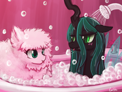 Size: 1920x1440 | Tagged: safe, artist:lumineko, queen chrysalis, oc, oc:fluffle puff, changeling, changeling queen, earth pony, pony, g4, bath, bubble, bubble bath, canon x oc, female, lesbian, mare, ship:chrysipuff, shipping, tongue out, wet mane