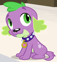 Size: 862x950 | Tagged: safe, screencap, spike, dog, equestria girls, g4, male, outfit catalog, solo, spike the dog