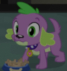 Size: 429x456 | Tagged: safe, screencap, spike, spike the regular dog, dog, equestria girls, g4, my little pony equestria girls: rainbow rocks, male, pet bowl, solo, spike's dog collar