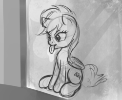 Size: 1000x820 | Tagged: safe, artist:scootiebloom, rainbow dash, g4, female, licking, monochrome, solo, window, window licking