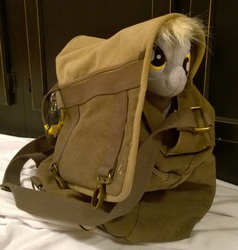 Size: 825x865 | Tagged: safe, artist:zombies8mywaffle, derpy hooves, pegasus, pony, g4, bag, cute, derpabetes, female, irl, mare, peekaboo, peeking, photo, plushie, pony in a bag, solo