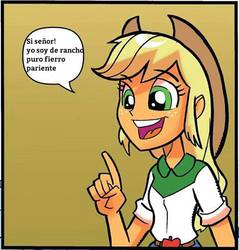 Size: 480x503 | Tagged: safe, artist:tony fleecs, idw, applejack, equestria girls, g4, my little pony: equestria girls holiday special, spoiler:comic, applejack's opinion, comic, exploitable, exploitable meme, female, holiday special, meme, mexico, si señor yo soy de rancho, simple background, solo, spanish