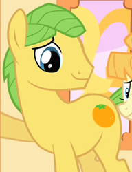 Size: 336x437 | Tagged: safe, screencap, aunt orange, mosely orange, uncle orange, earth pony, pony, g4, the cutie mark chronicles, duo, male, offscreen character, solo focus, stallion