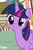 Size: 427x654 | Tagged: artist needed, editor needed, safe, edit, edited screencap, screencap, twilight sparkle, alicorn, pony, g4, pinkie pride, season 4, :3, cute, female, mare, solo, twiabetes, twilight cat, twilight sparkle (alicorn)