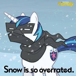 Size: 550x550 | Tagged: safe, shining armor, g4, official, discovery family, discovery family logo, text, truth