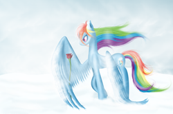 Size: 3016x2000 | Tagged: safe, artist:freyiejj, rainbow dash, g4, blizzard, female, flower, high res, rose, sad face, snow, snowfall, solo, wind, wings, winter