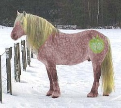 Size: 298x265 | Tagged: safe, artist:brettsworld, big macintosh, earth pony, horse, pony, g4, coat markings, dappled, dark genitals, hoers, irl, irl horse, male, nudity, photo, recolored hoers, sheath, stallion